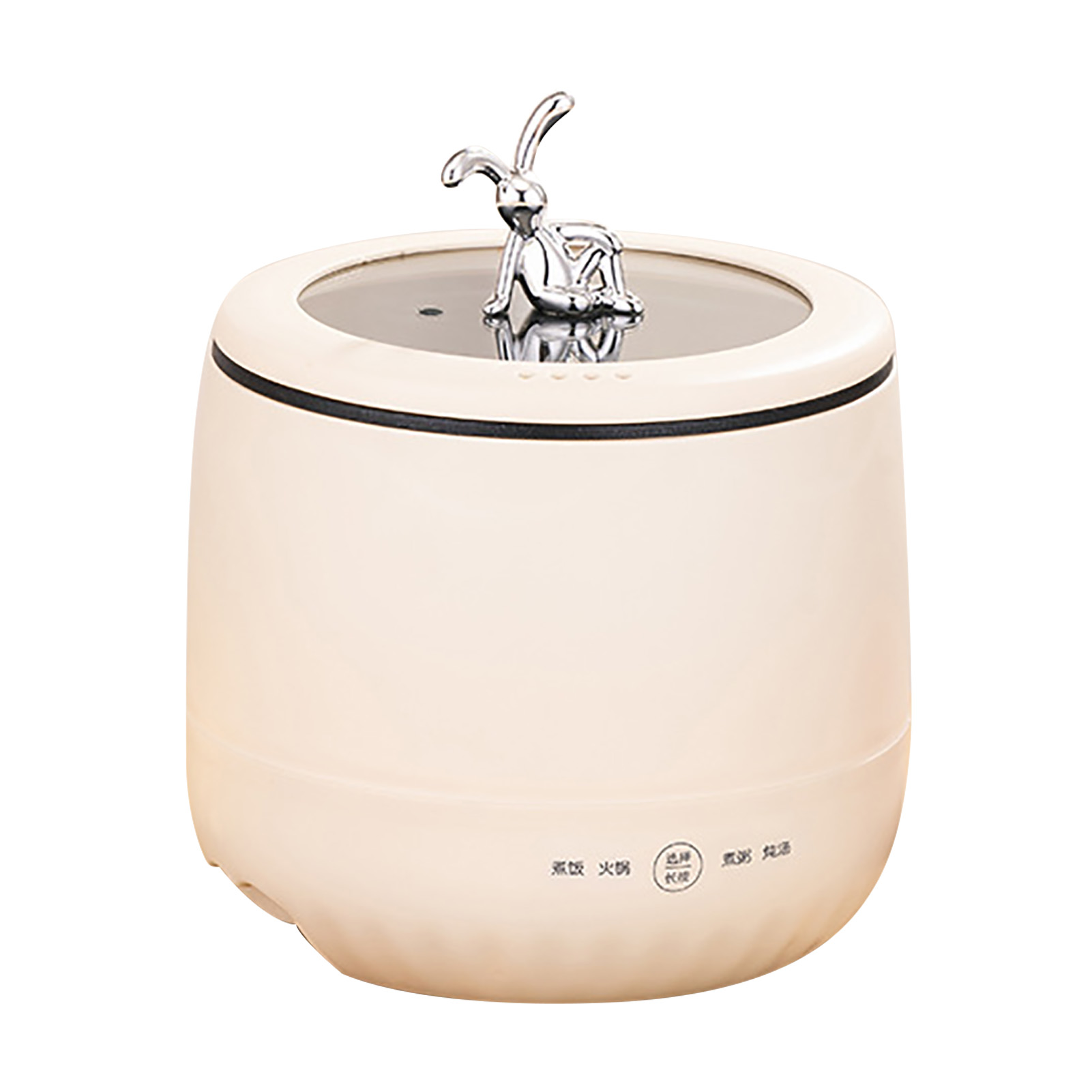 Slimme elektrische mini-rijstk - Meal Prep With Rice recensie en prijs