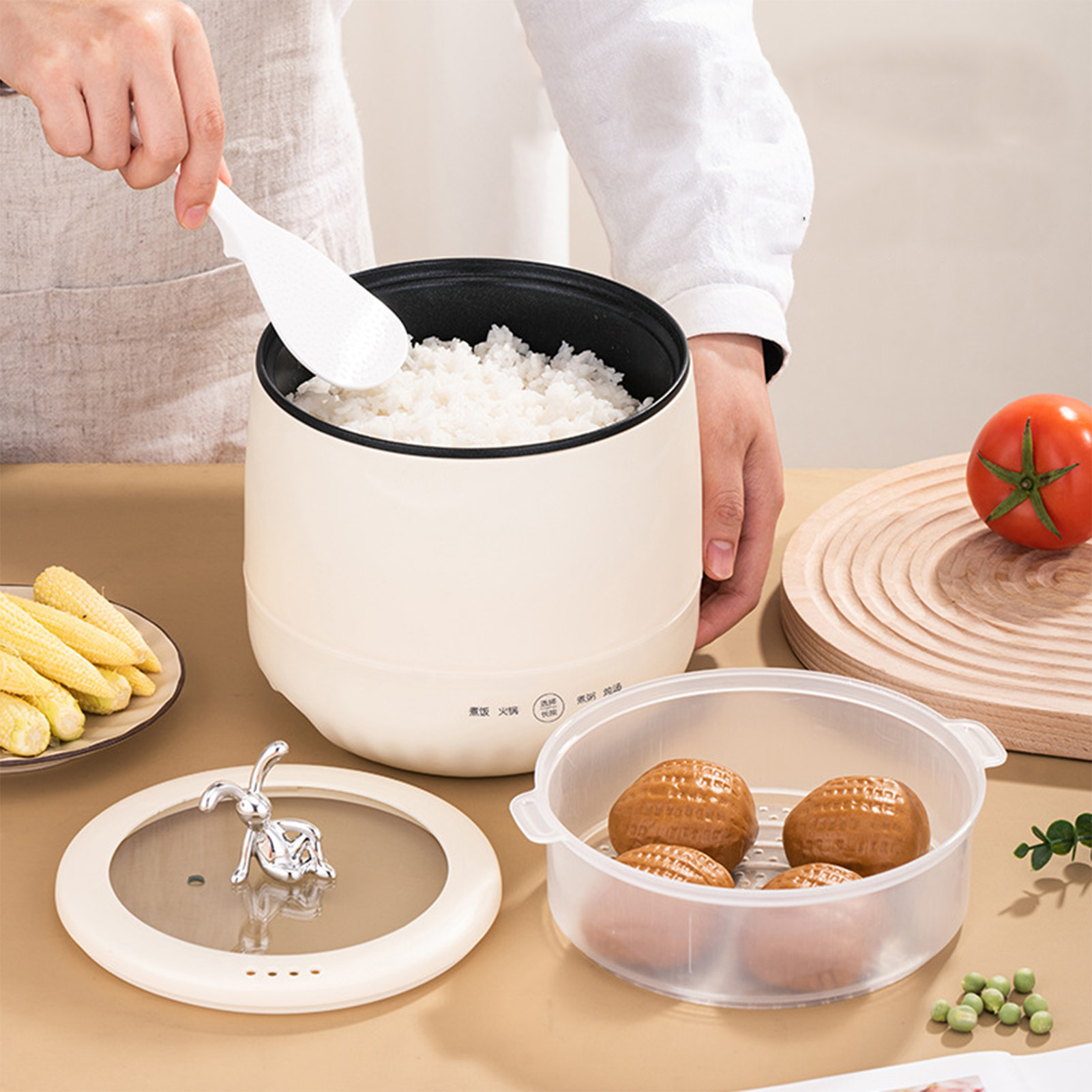 Slimme elektrische mini-rijstk - Meal Prep With Rice recensie en prijs