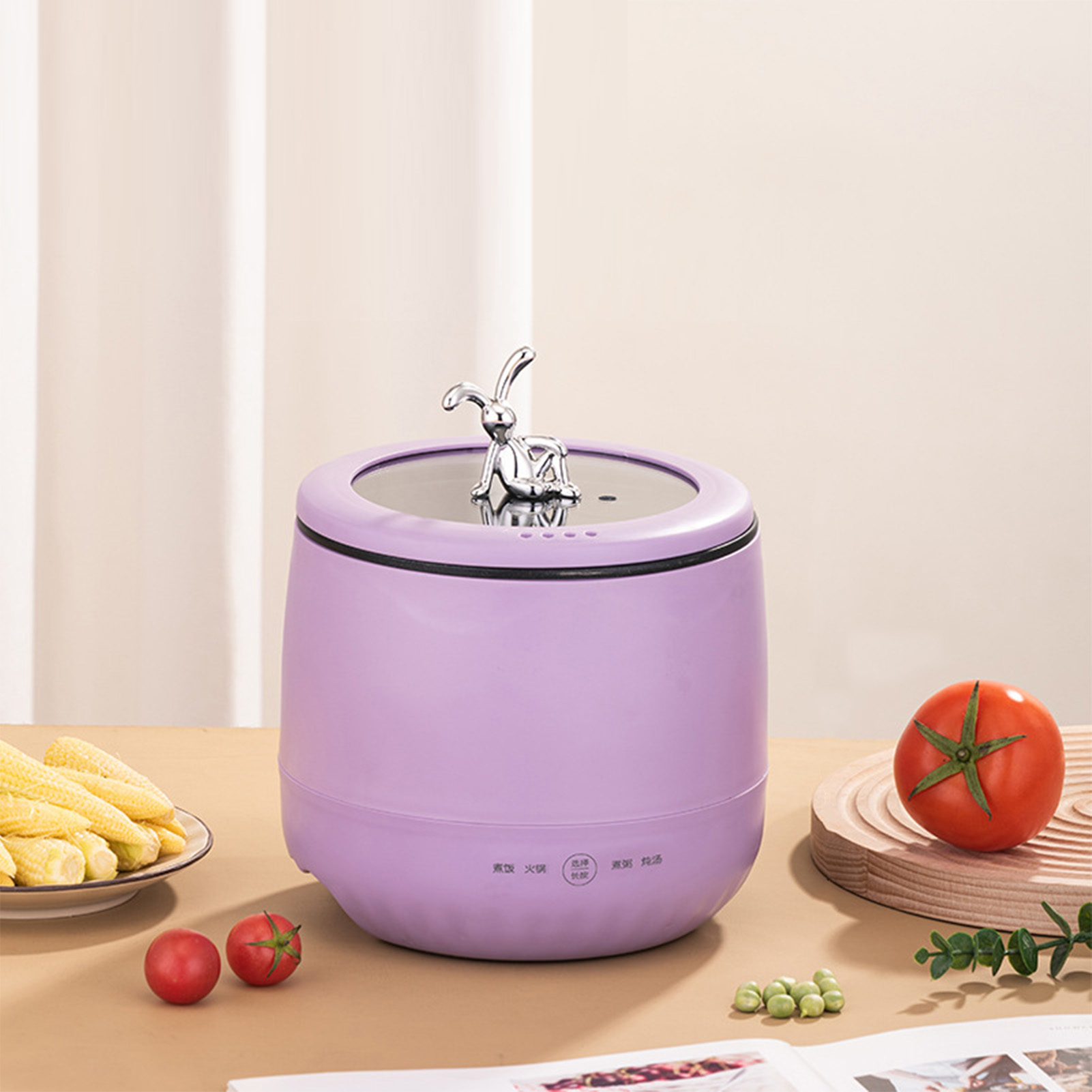 Slimme elektrische mini-rijstk - Meal Prep With Rice recensie en prijs