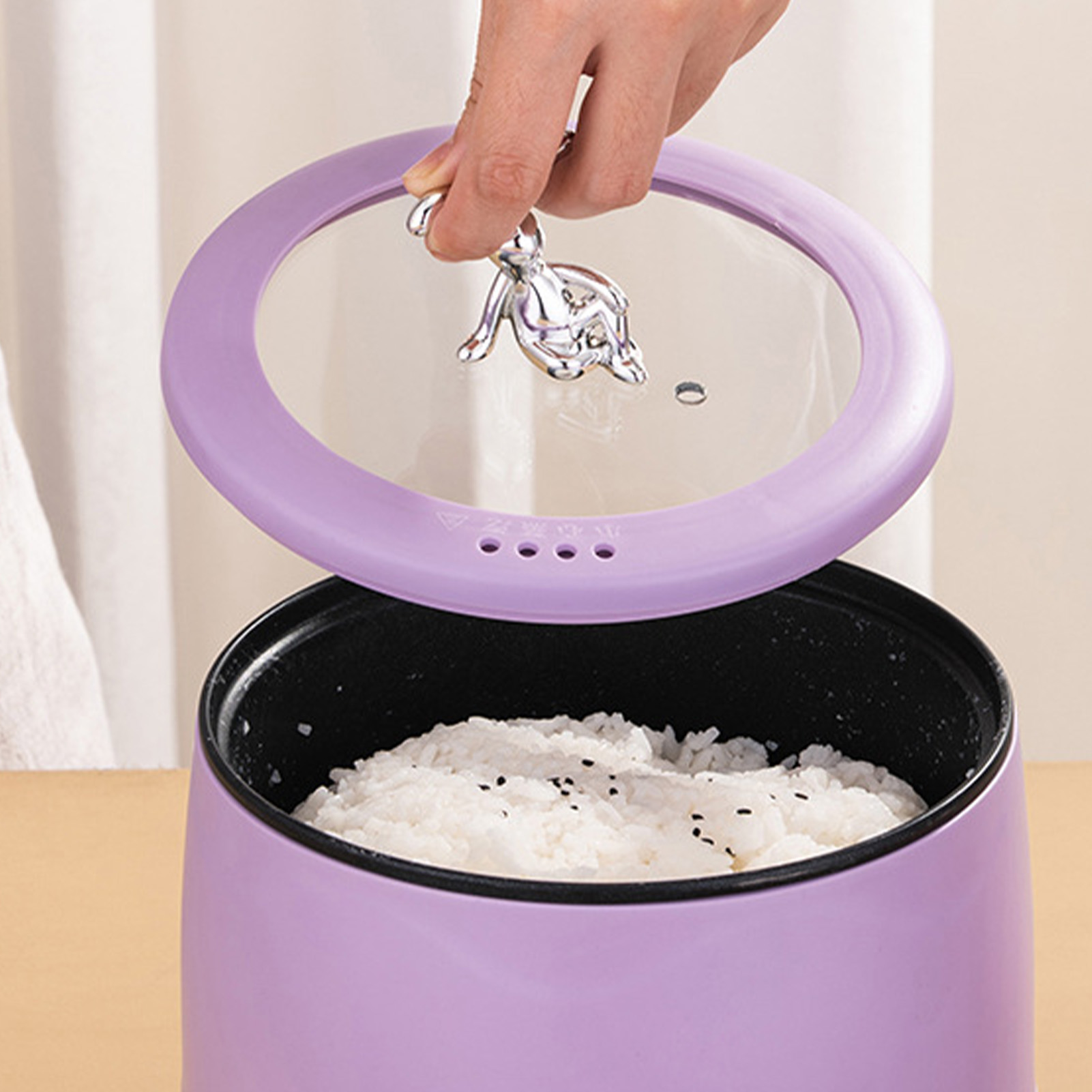 Slimme elektrische mini-rijstk - Meal Prep With Rice recensie en prijs